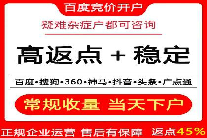 百度SEO与广告结合的多元化推广策略——多行业成功案例